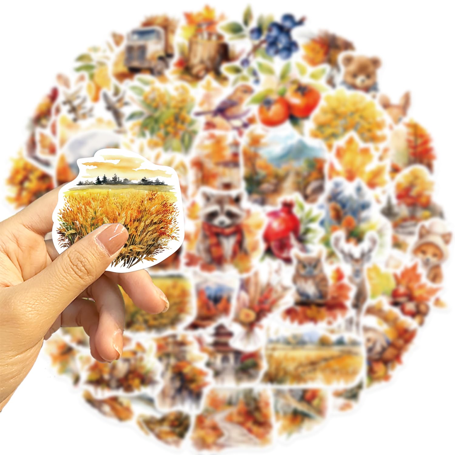 Amazon.com: 50Pcs Autumn Stickers Pack Aesthetic Harvest Stickers